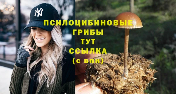 кокс Армянск