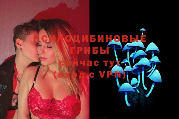 не бодяженный Аркадак