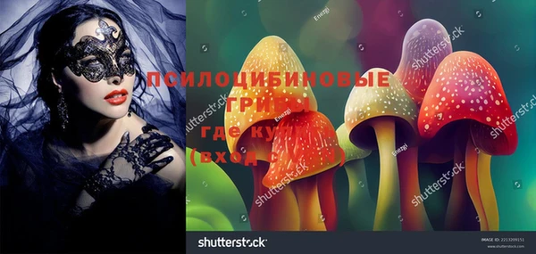 не бодяженный Аркадак